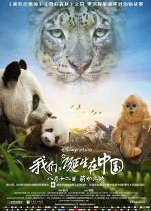 在线观看完整版