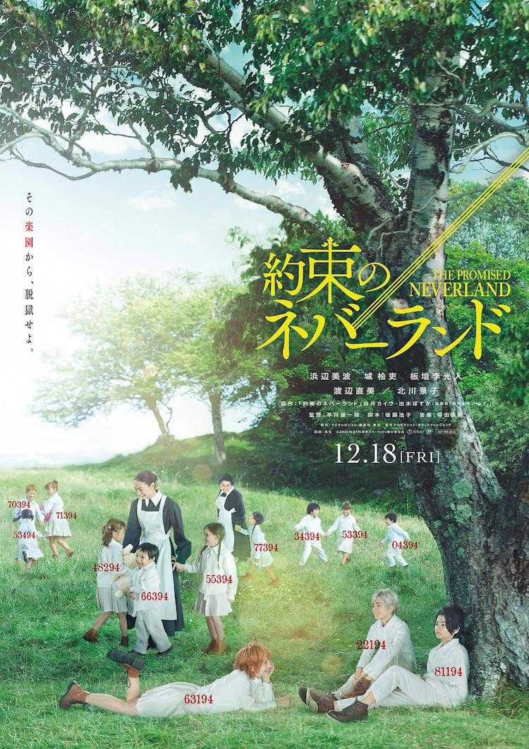 高清视频在线观看