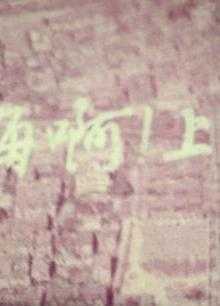 免费追剧在线观看