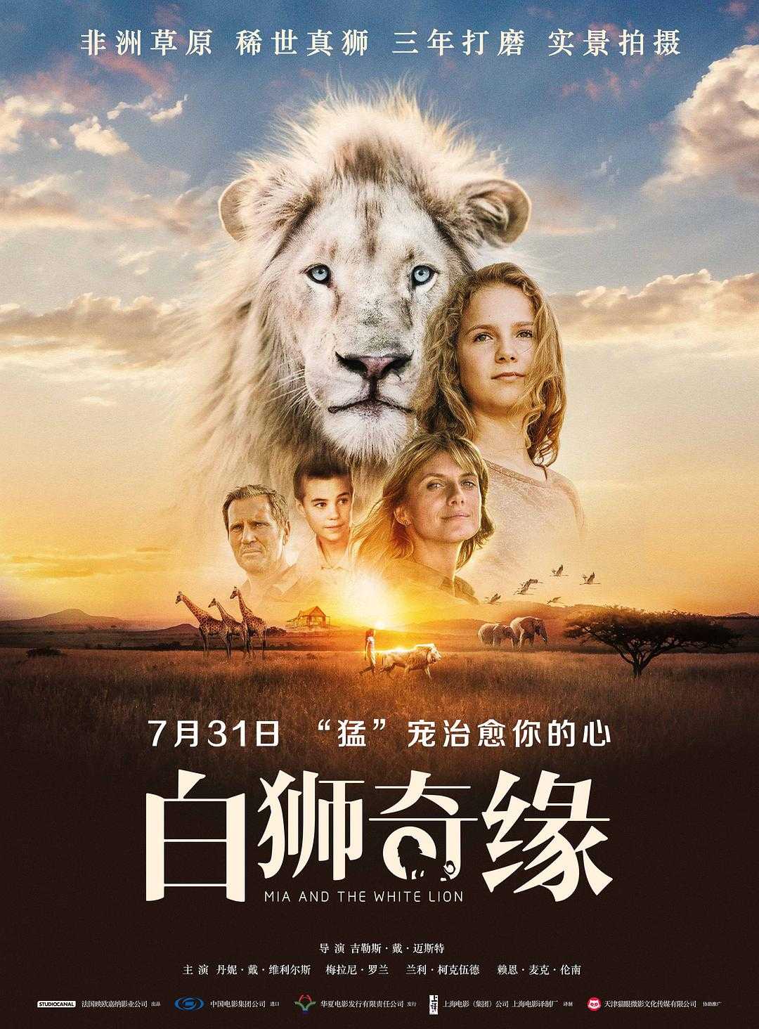 在线播放完整版
