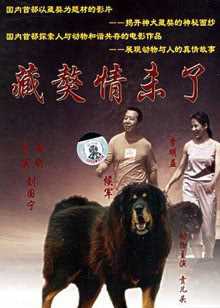 第8集在线观看