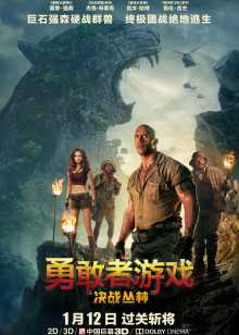 在线播放完整版
