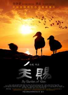 高清视频在线观看