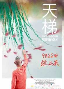 高清画质在线观看